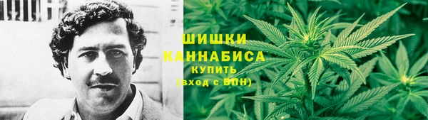 apvp Арсеньев